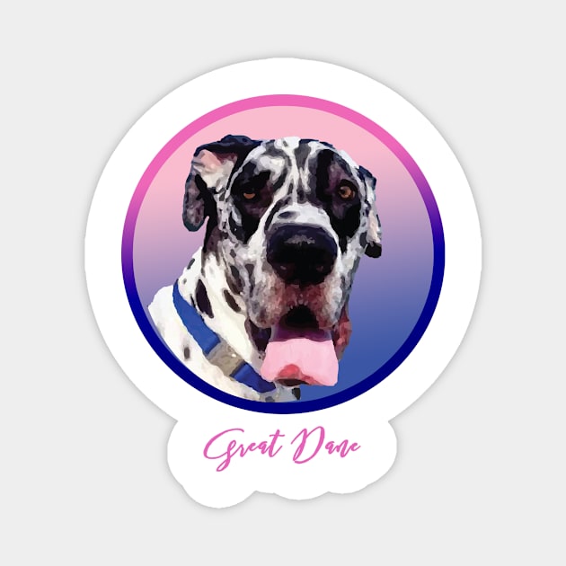 Beautiful Great Dane! Especially for Great Dane owners! Magnet by rs-designs