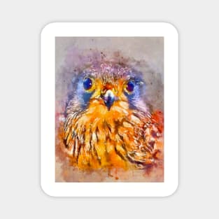 Watercolor Kestrel Magnet