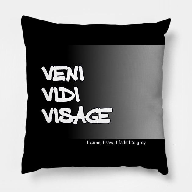 Veni Vidi Visage - I came, I saw, I faded to grey Pillow by soitwouldseem