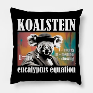 Koalstein E=mc^2 Pillow