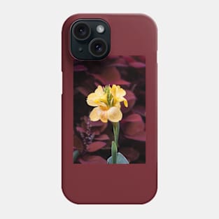 Maroon and Gold II Phone Case