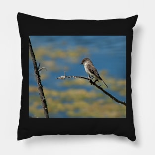 Perched pose Pillow