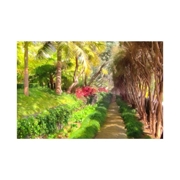 Madeira Island Sidewalk, a Walk through the worlds Finest Botanical Gardens by JonDelorme