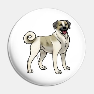 Dog - Anatolian Shepherd - Fawn and White Pin