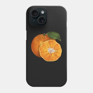 Vegan Orange Art Design Half Sliced Orange Phone Case