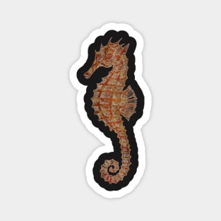 The Proud Hippocampus Magnet