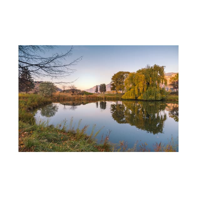 Garden Pond Reflecting Autumn Trees at Sunset by Amy-K-Mitchell