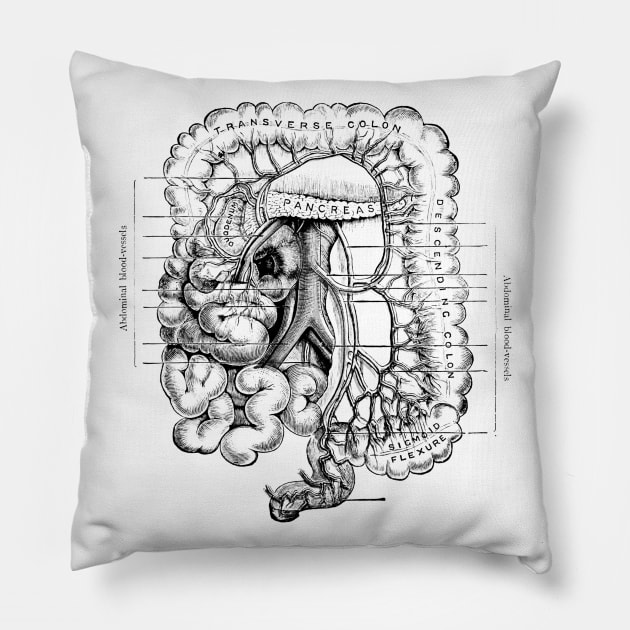 Human Body - Digestive System Pillow by be yourself. design