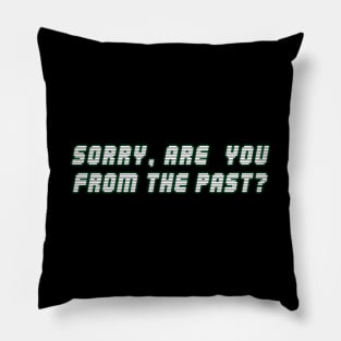 Are you from the past? Pillow