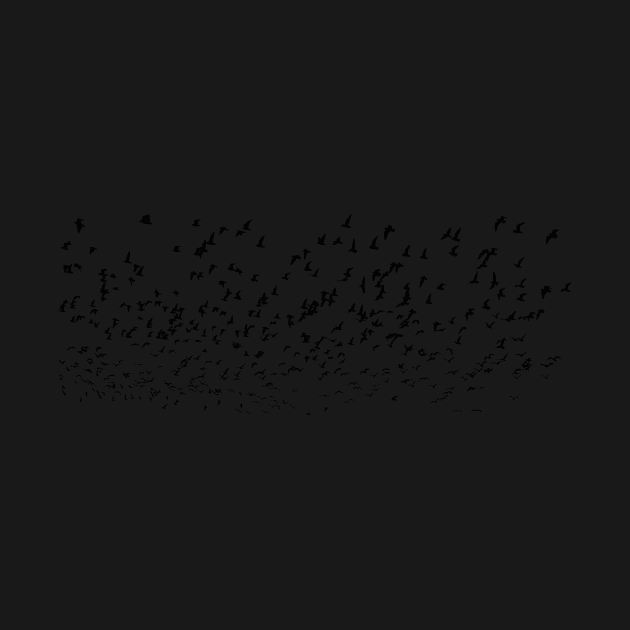 flock of birds by JWTimney
