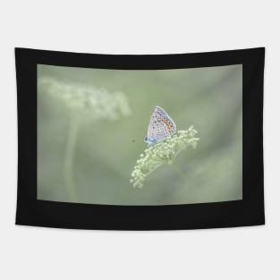 Common Blue Butterfly on Green Flower Tapestry