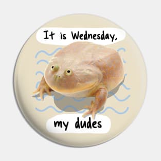 It is Wednesday my Dudes V4 Pin