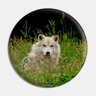 Arctic Wolf Pin