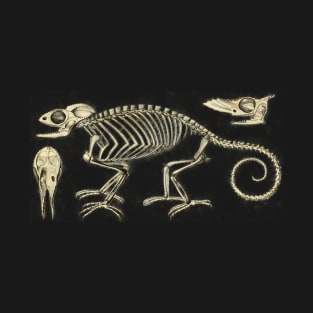 Chameleon Skeleton Anatomy Vintage Science T-Shirt