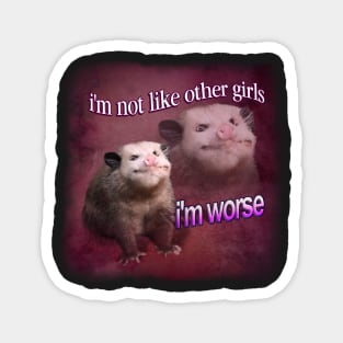 Possum Meme Magnet