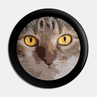 cat regard Pin