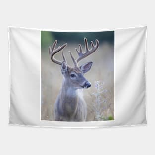 White-tailed Buck Tapestry