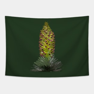 Haleakalā Silversword or ‘Āhinahina Tapestry