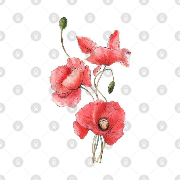 Red Poppy Flowers Watercolor Painting by Ratna Arts