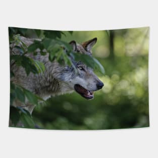 Timber Wolf Tapestry