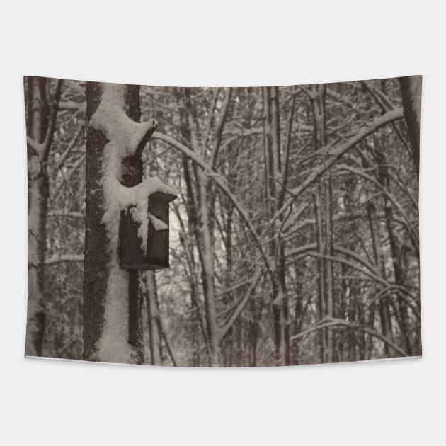 Bird feeder on a tree in winter Tapestry by EvgeniiV