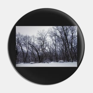 Winter's Arboreal Majesty Pin