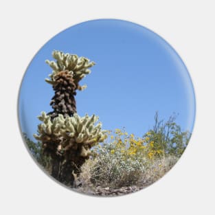 Cactus and Yellow Flowers in the rocky Desert Pin