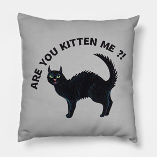 Are you kitten me?! Cat design Pillow