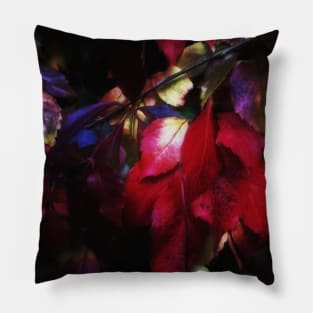 Colourful Autumn Pillow