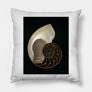 Common nautilus (C022/7617) Pillow