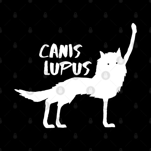 Canis Lupus by seancarolan