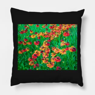 Cheery Red and Orange Helenium Flowers Pillow