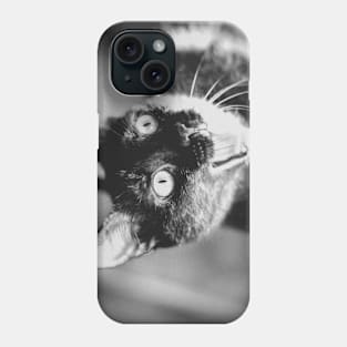 my crazy cat Phone Case