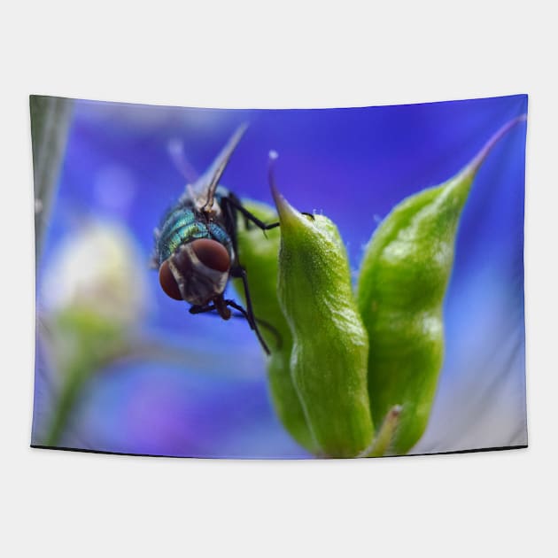 Fly on Pod. Tapestry by CanadianWild418