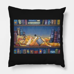 Book cat Pillow