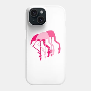 Funny Flamingo Ballerinas Wearing Pointe Toe Shoes Phone Case