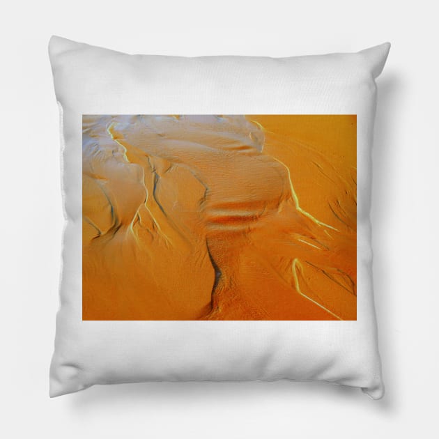 drawings Pillow by terezadelpilar