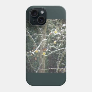 bird in a winter tree Phone Case