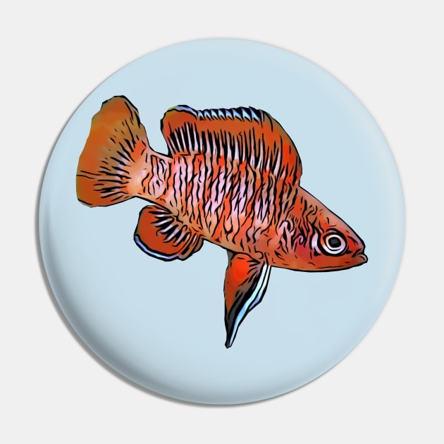 Scarlet Badis Pin by DestructoKitty