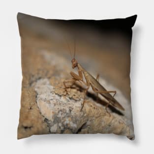 Praying Mantis Pillow