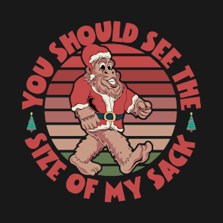 You Should See The Size Of My Sack Funny Santa Christmas T-Shirt