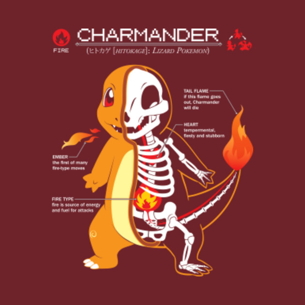 charmander anatomy pokemon t