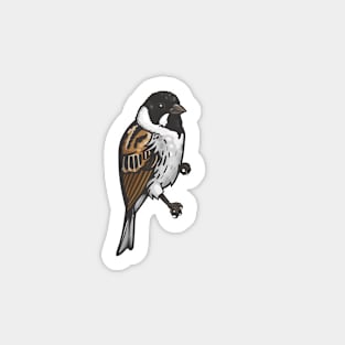 Reed Bunting Magnet