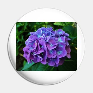 Purple Hydrangea Pin