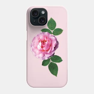 Roses - Dainty Pink Rose Phone Case