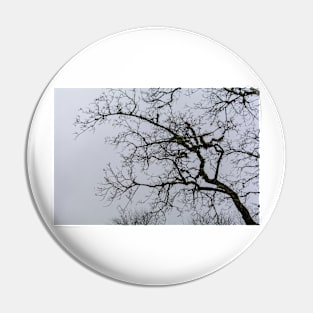 Tree branches silhouette against grey dismal sky Pin