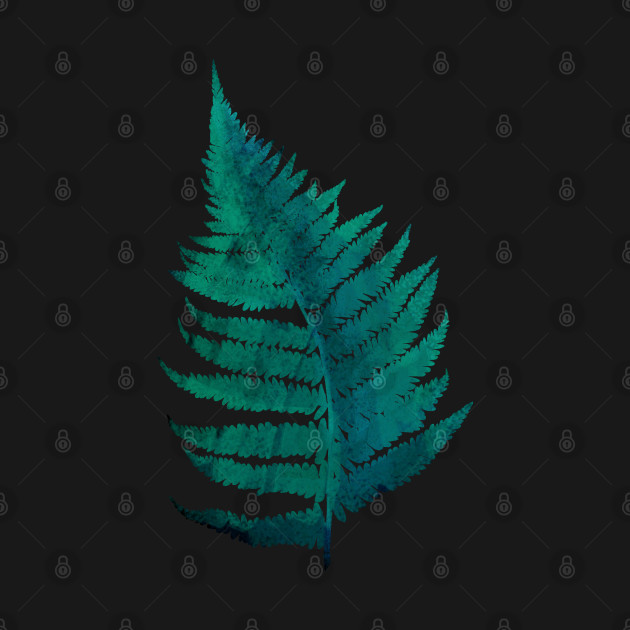 Fern by wroxee