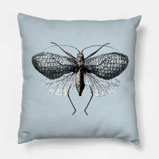 Flying Insect - Zoological Drawing Pillow