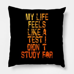 Didn't Study Pillow