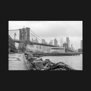 Brooklyn Bridge & Jane's Carousel T-Shirt